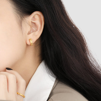 Frosted Series Gold Earrings for Women